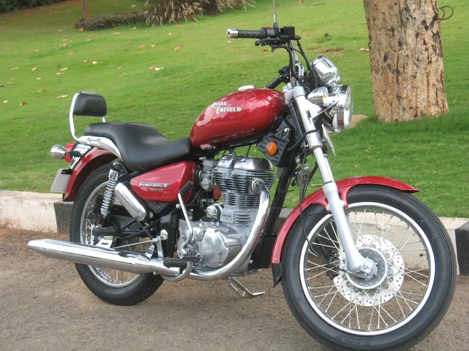 Red thunderbird profile